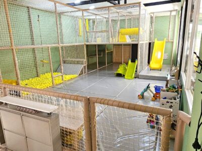 The Nest Playground