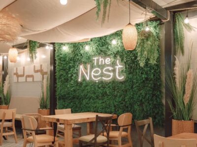 The Nest Playground