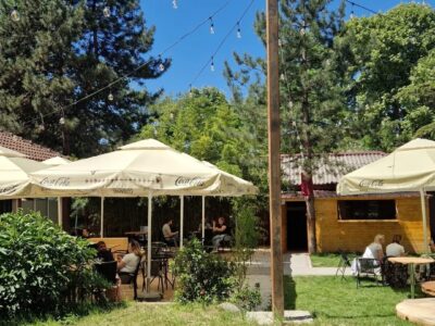 The Nest Yard