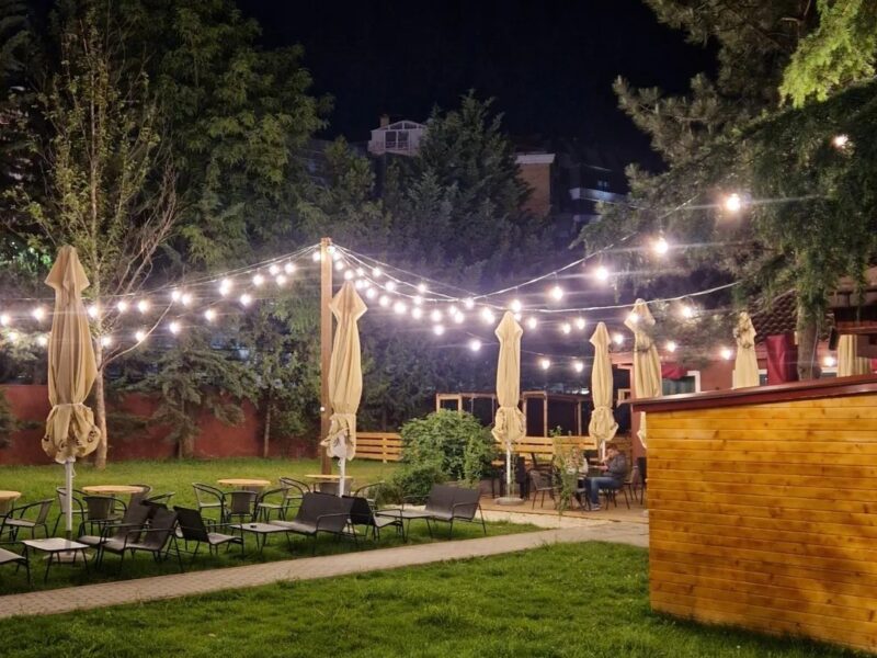 The Nest Yard