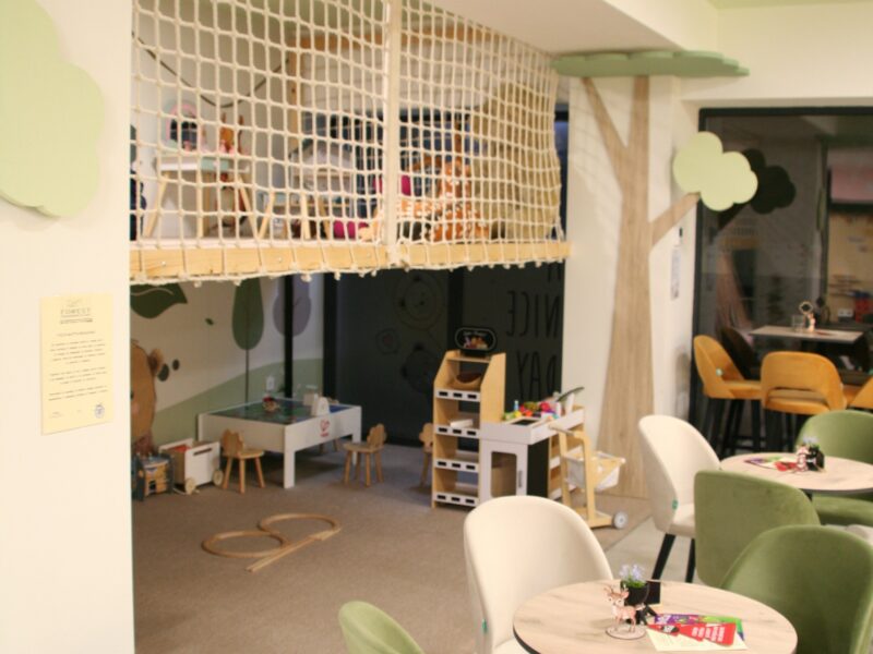 Forest Playground & Cafe