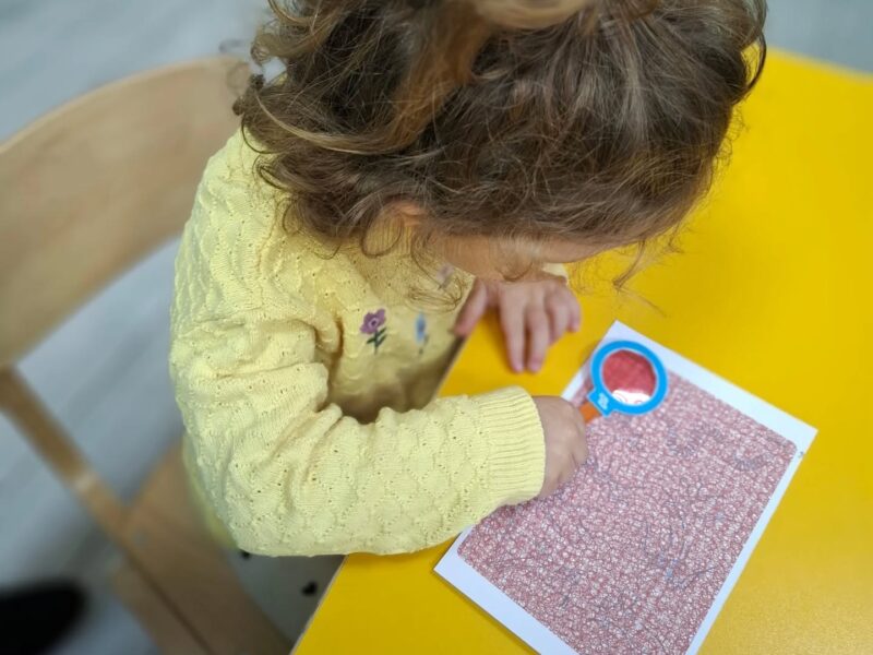 Thinker Labs Карпош