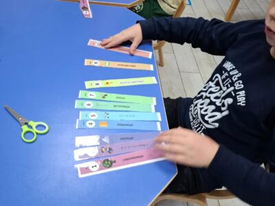 Thinker Labs Карпош